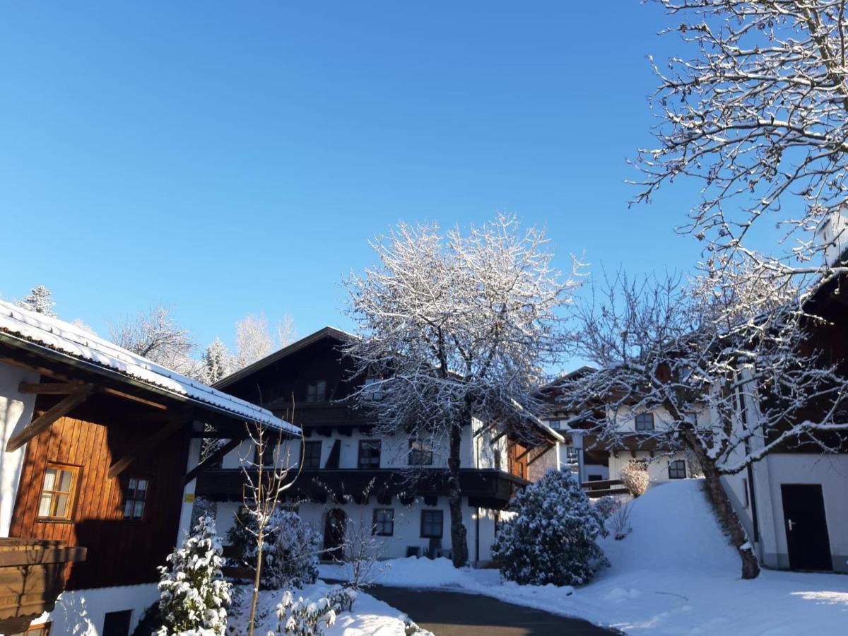 Ferienwohnung Freudensee Im Bayerischen Wald - Pool, Sauna Хауценберг Екстериор снимка